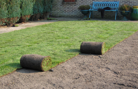 TRAVAUX DE POSE DE PELOUSE
