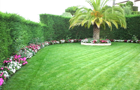 DES TRAVAUX DIVERSIFIÉS EN ENTRETIEN DE JARDIN
